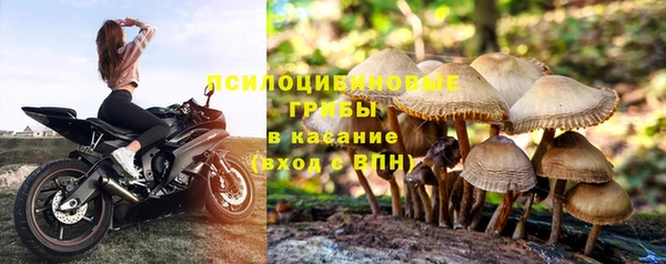 твердый Протвино