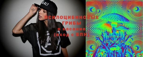 прущие крисы Абинск